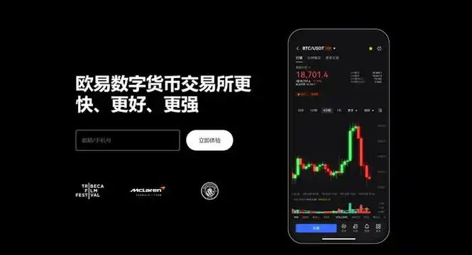 虚拟币平台平台展示图